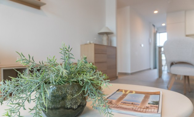 Nouvelle construction - Rez-de-chaussée - Playa Flamenca
