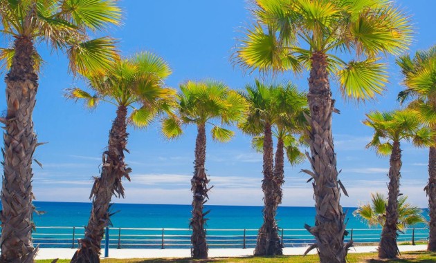 Neue Gebäude - Wohnung - Cabo Roig