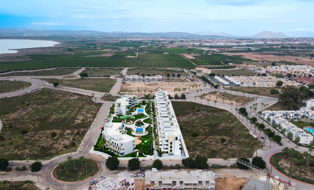 Obra nueva - Ático - Guardamar del Segura