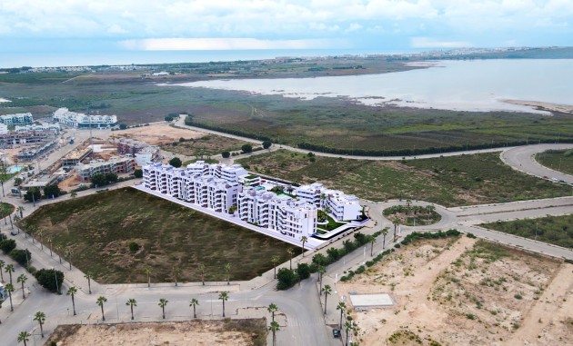 Obra nueva - Ático - Guardamar del Segura