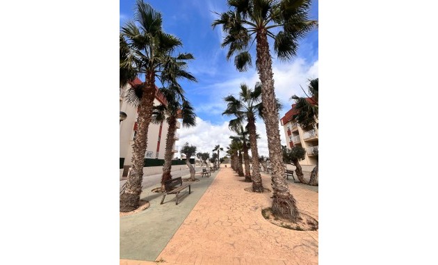 Nybyggnation - Lägenhet - Orihuela Costa