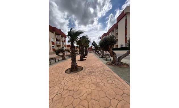 New Build - Penthouse - Orihuela Costa