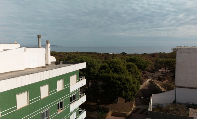 New Build - Apartment - Guardamar del Segura