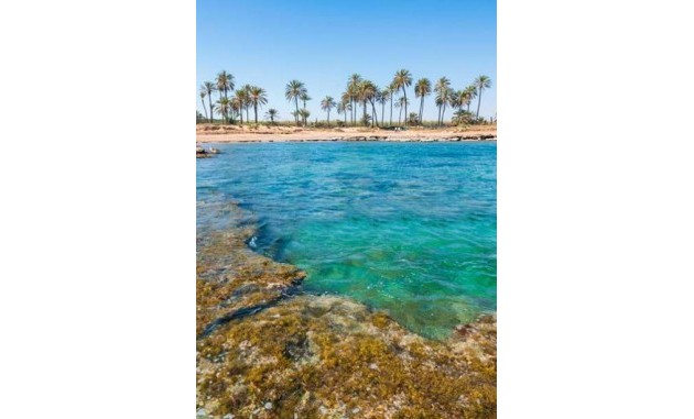 Nieuwbouw Woningen - Penthouse - Torrevieja