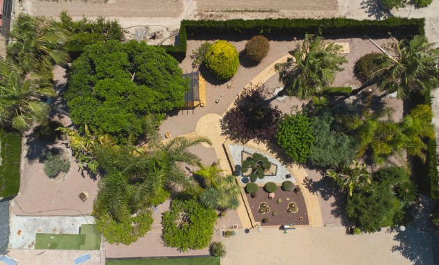 Herverkoop - Landhuis-Finca - Elche - La Hoya