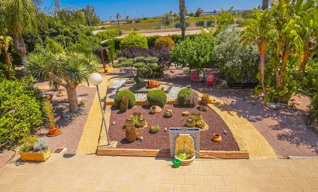 Herverkoop - Landhuis-Finca - Elche - La Hoya
